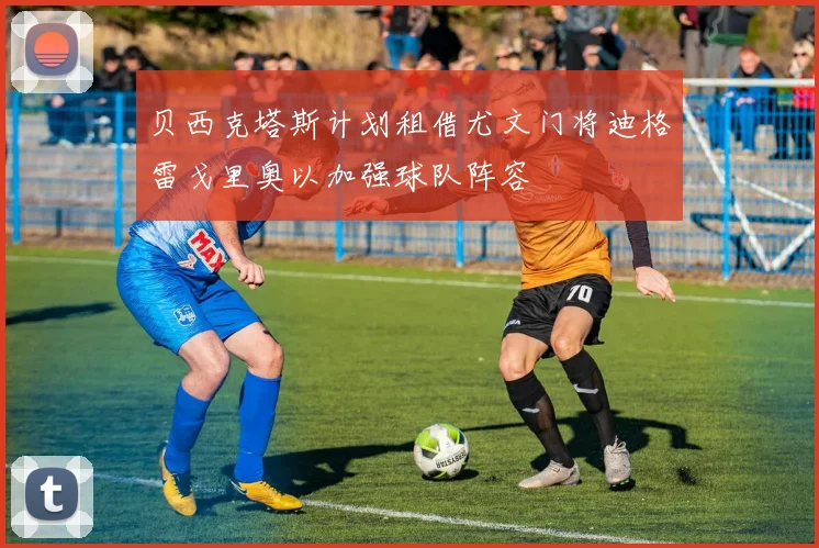 贝西克塔斯计划租借尤文门将迪格雷戈里奥以加强球队阵容